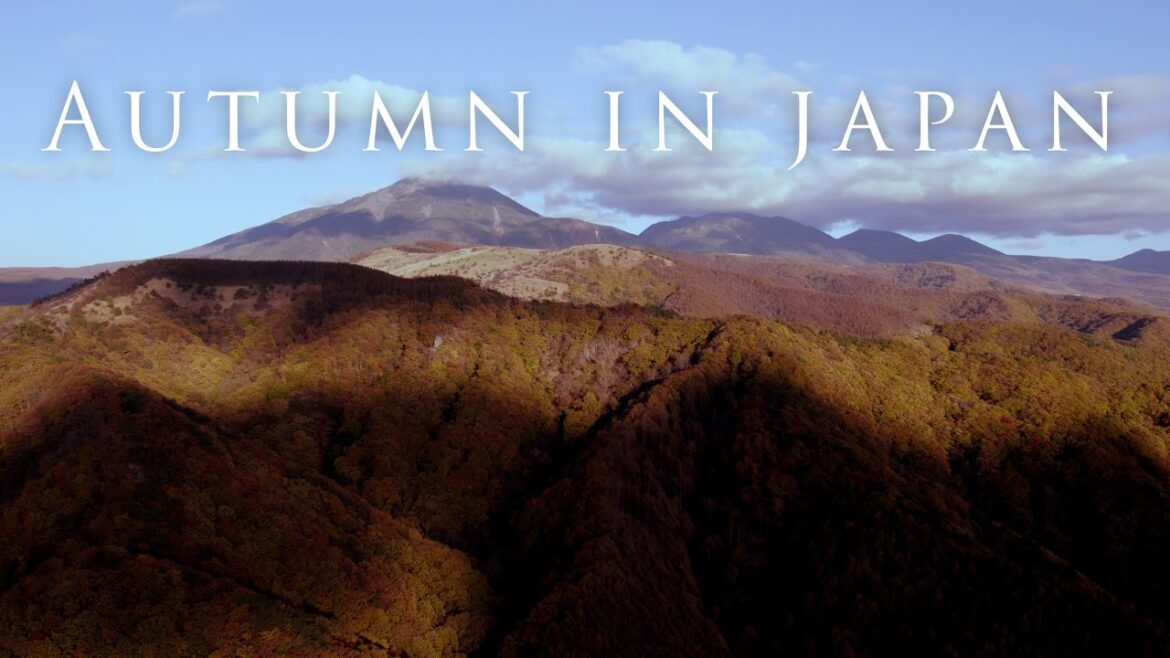 Autumn in Japan is MAGICAL