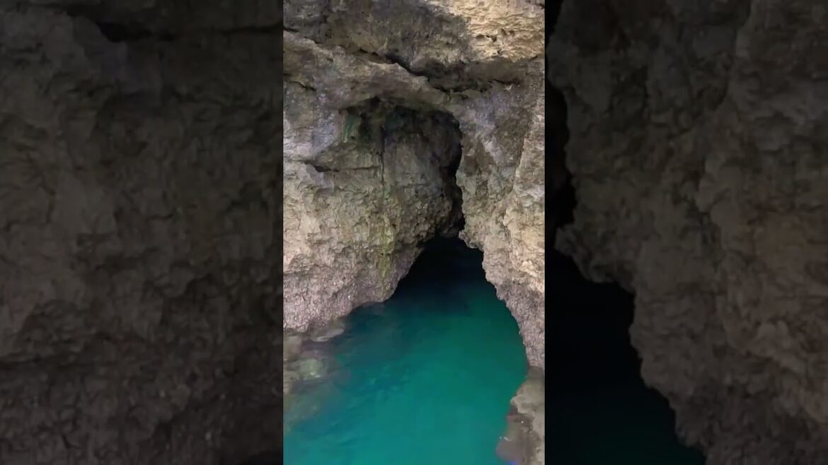 沖縄の秘境洞窟探検ツアーを開催してみたんだが…#shorts 沖縄の秘境洞窟探検ツアーを開催してみたんだが…#shorts