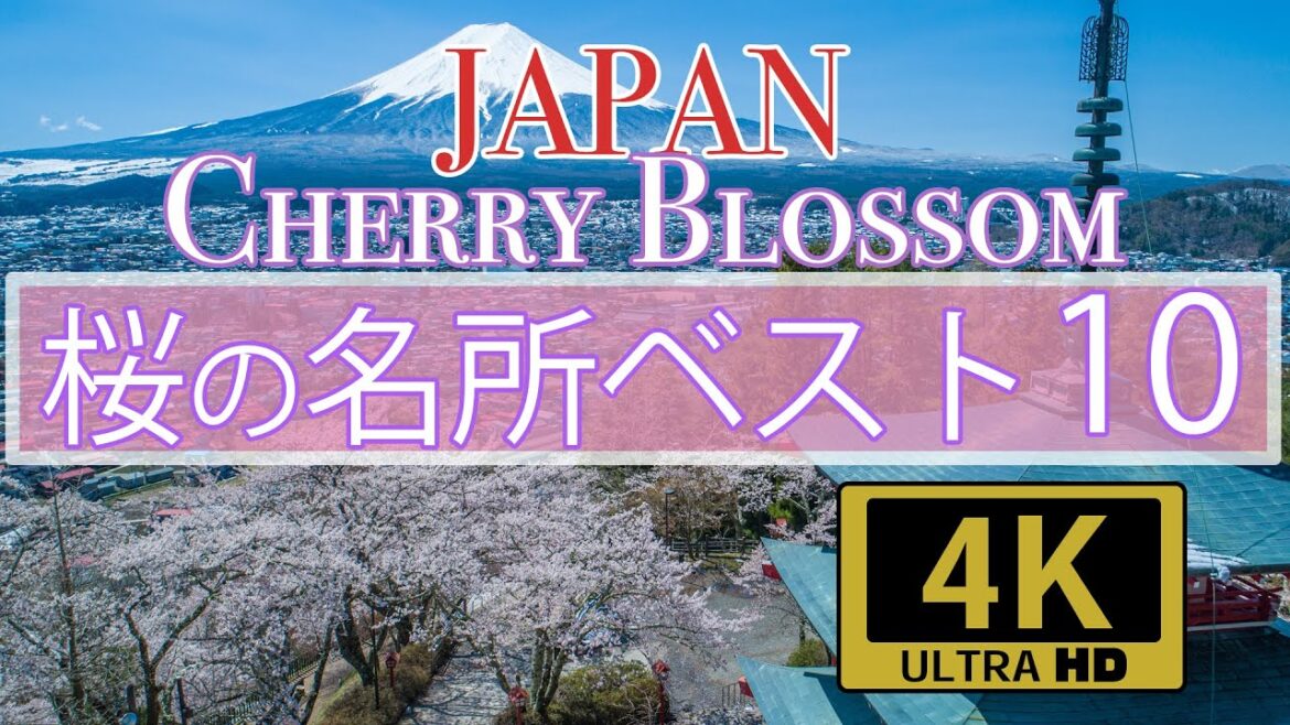 [4K]  2021年に見たい桜の名所ベスト10 Best Cherry Blossom Spot in Japan