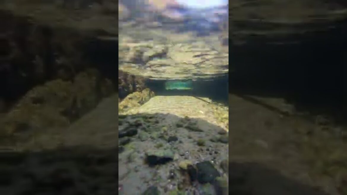 HOW CLEAN IS JAPAN???  #shorts