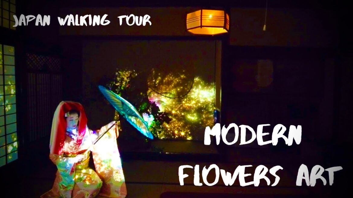 Japan Walk Tour【 Flowers / Projection Mapping 】Edo period houses, Shiken-Machi
