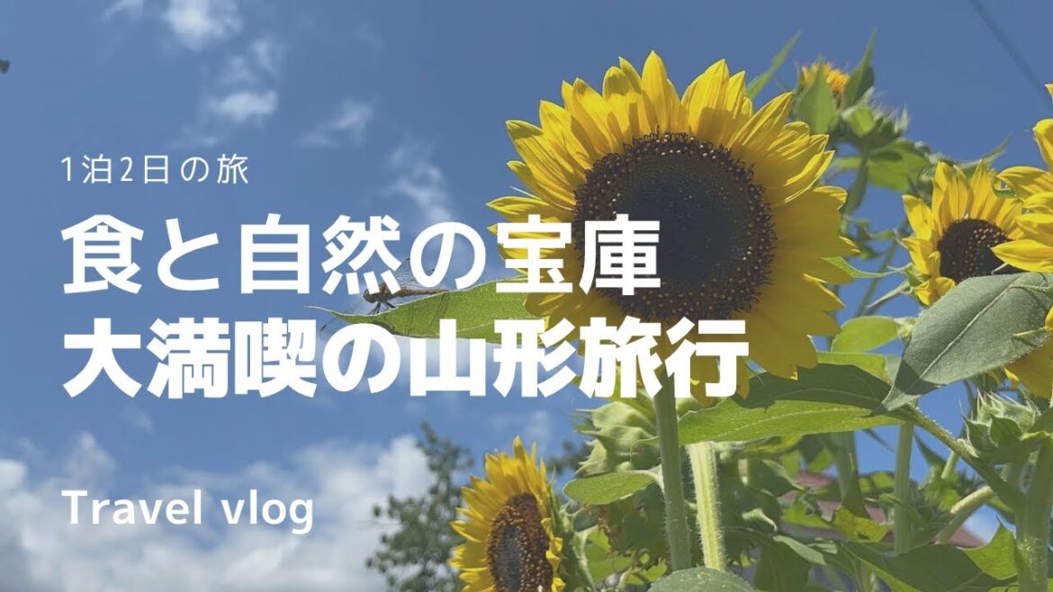 山形旅行1泊2日VLOG②🍉|最上川川下り|スイカの魅力|そば街道|銀山温泉♨️|村山カフェ🍰☕️ 山形旅行1泊2日VLOG②🍉|最上川川下り|スイカの魅力|そば街道|銀山温泉♨️|村山カフェ🍰☕️