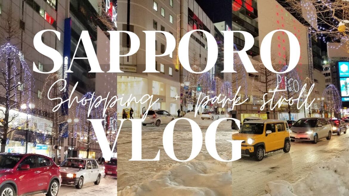 SAPPORO JAPAN さっぽろ FAMOUS SHOPPING Area and Ōdōri Park on a SNOWDAY