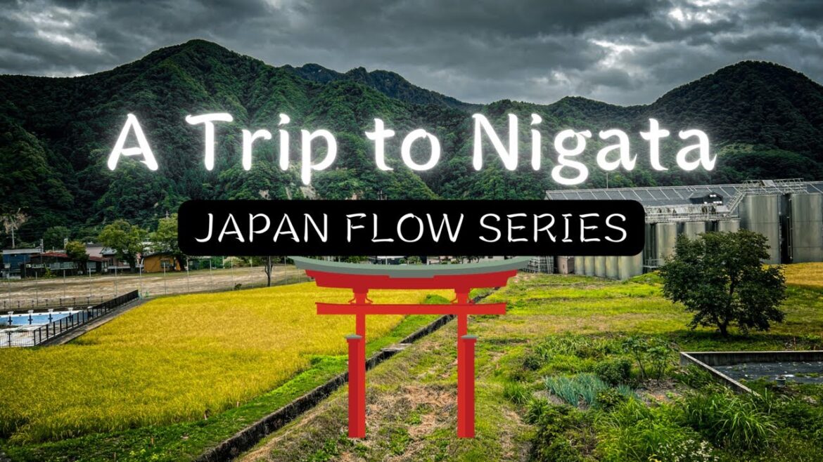 A Trip to Niigata – JAPAN FLOW SERIES | Life in Japan 2022 A Trip to Niigata - JAPAN FLOW SERIES | Life in Japan 2022