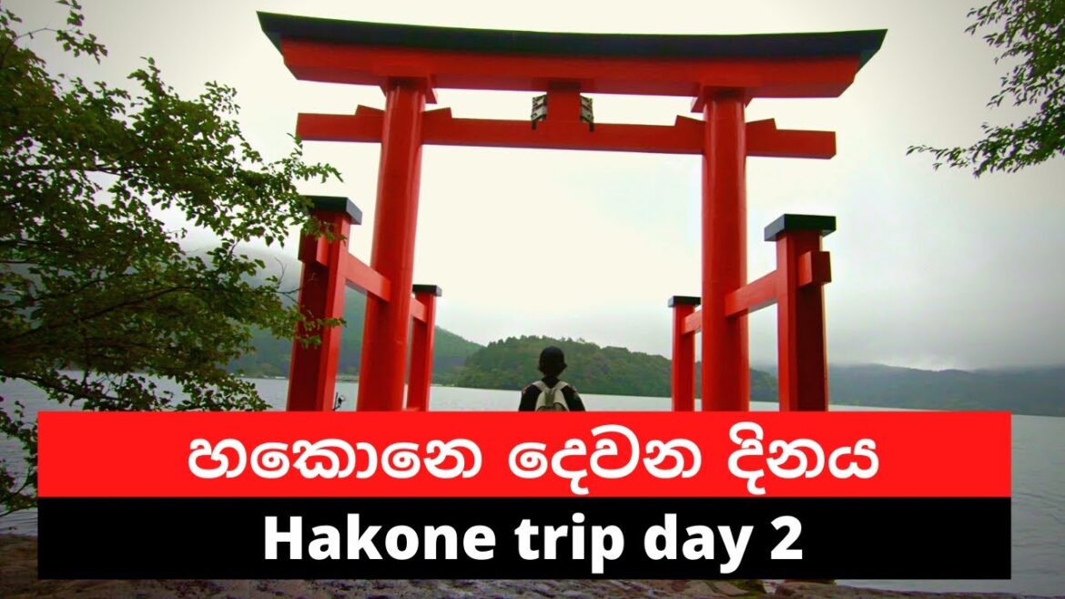 Hakone trip day – 02| හකොනෙ සංචාරයේ දෙවන දිනය| #salindasenarath Hakone trip day - 02| හකොනෙ සංචාරයේ දෙවන දිනය| #salindasenarath