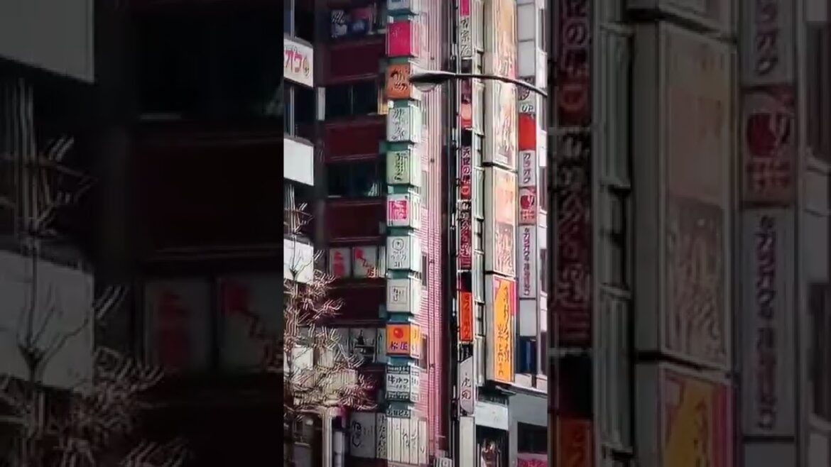 Tokyo Japan quick tour. Hotels on Planet Earth'.