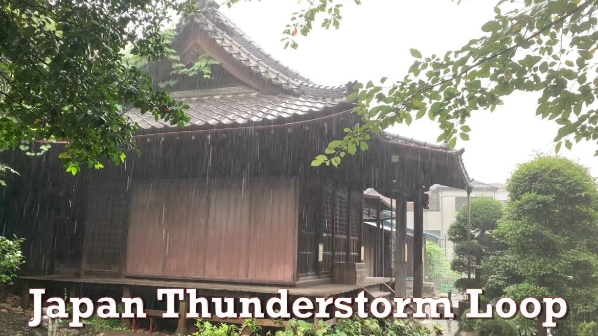 Japan Thunderstorm Rain Loop 2022.09-18 ASMR Ambience Sound Sleep Meditate Relax Tokyo Suburb