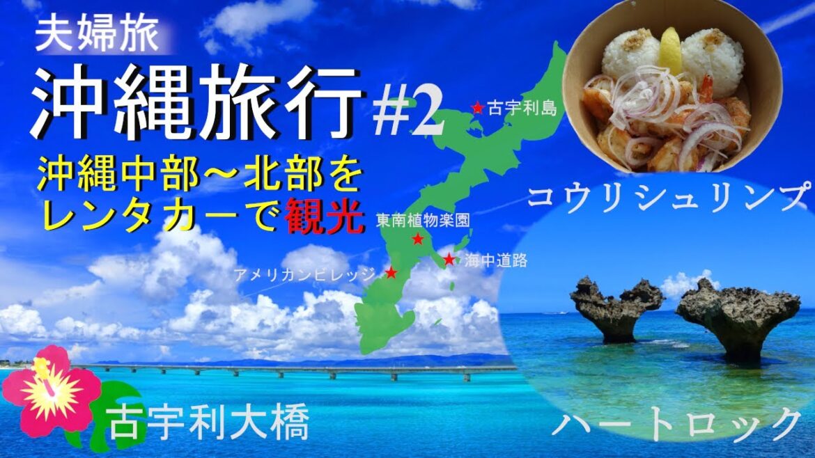 【沖縄旅行#2】年末に行った沖縄旅行のVlogです。アメリカンビレッジ→海中道路→古宇利大橋→ハートロック→東南植物楽園をレンタカ－で観光。古宇利島では、コウリシュリンプも紹介しています。