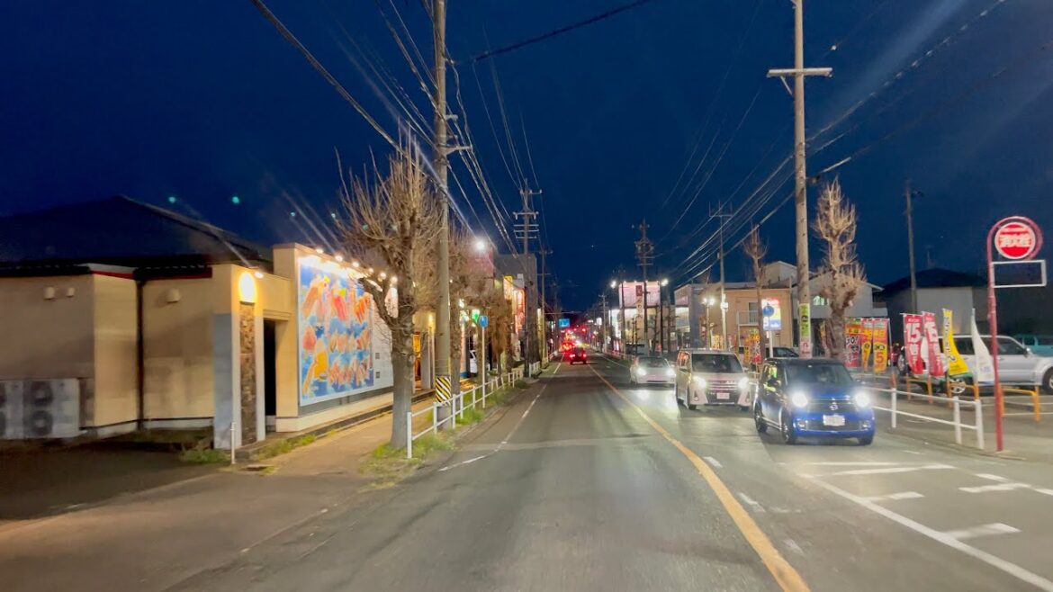 Nighttime Drive from Gamagori City to Toyokawa City Aichi Japan | 4K HDR Nighttime Drive from Gamagori City to Toyokawa City Aichi Japan | 4K HDR