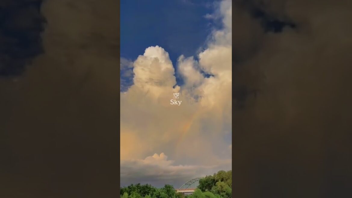 ALL ABOUT JAPAN  #shorts