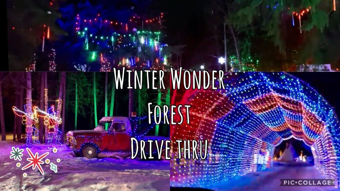 Winter Wonder Forest Edmonton Canada Video | Winter Attractions In Edmonton