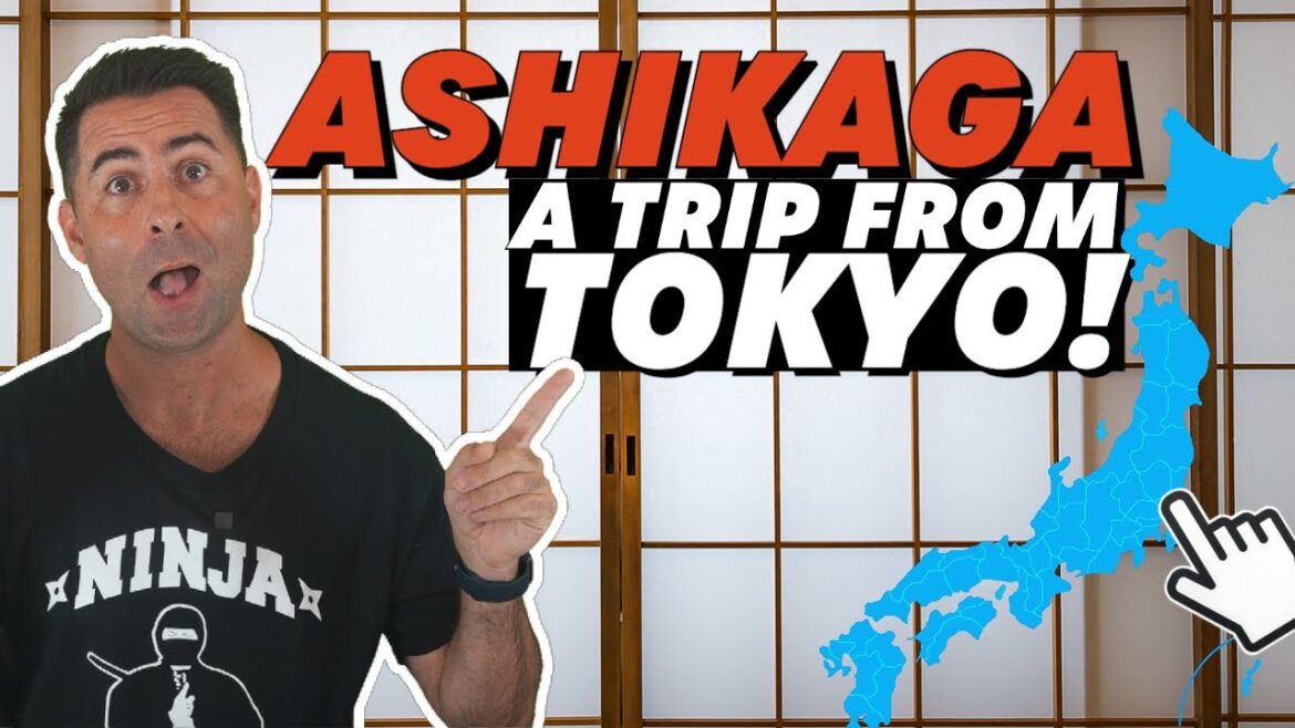 Ashikaga in Japan NEEDS TO BE DISCOVERED! (Japan Travel Vlog Guide) Ashikaga in Japan NEEDS TO BE DISCOVERED! (Japan Travel Vlog Guide)