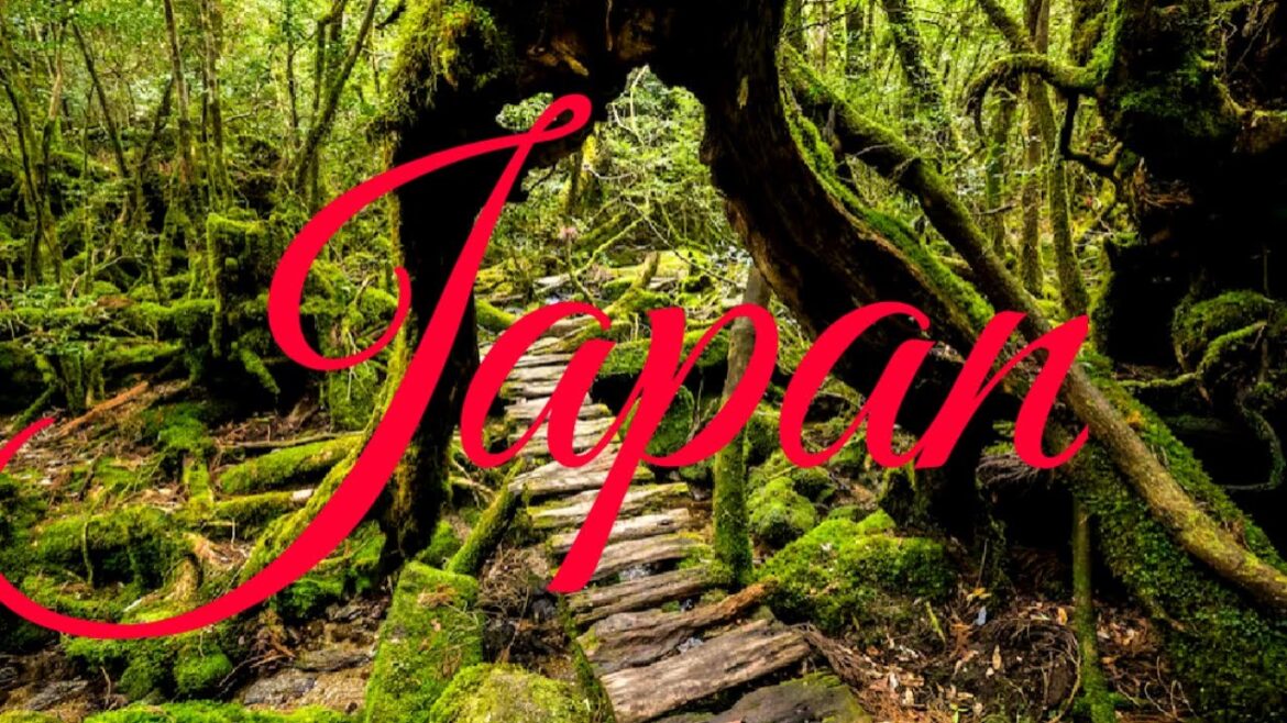 Top 10 places to visit in Japan #travel #travelvlog #viralvideo