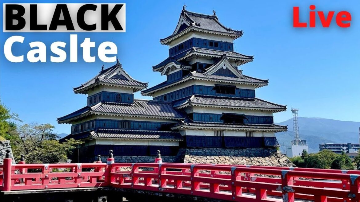 Legendary Black Castle & Matsumoto City Japan Live