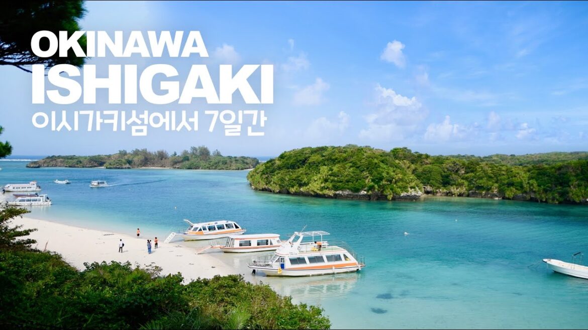 7일간의 오키나와 이시가키섬 여행_#1