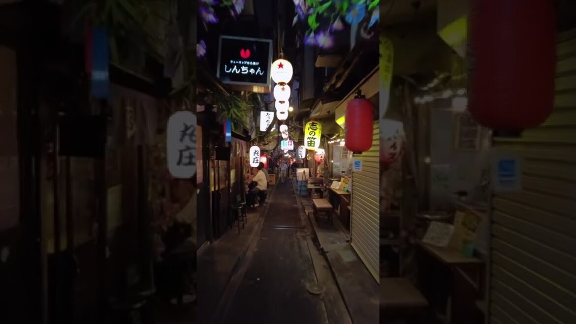 Shinjuku  Tokyo night life