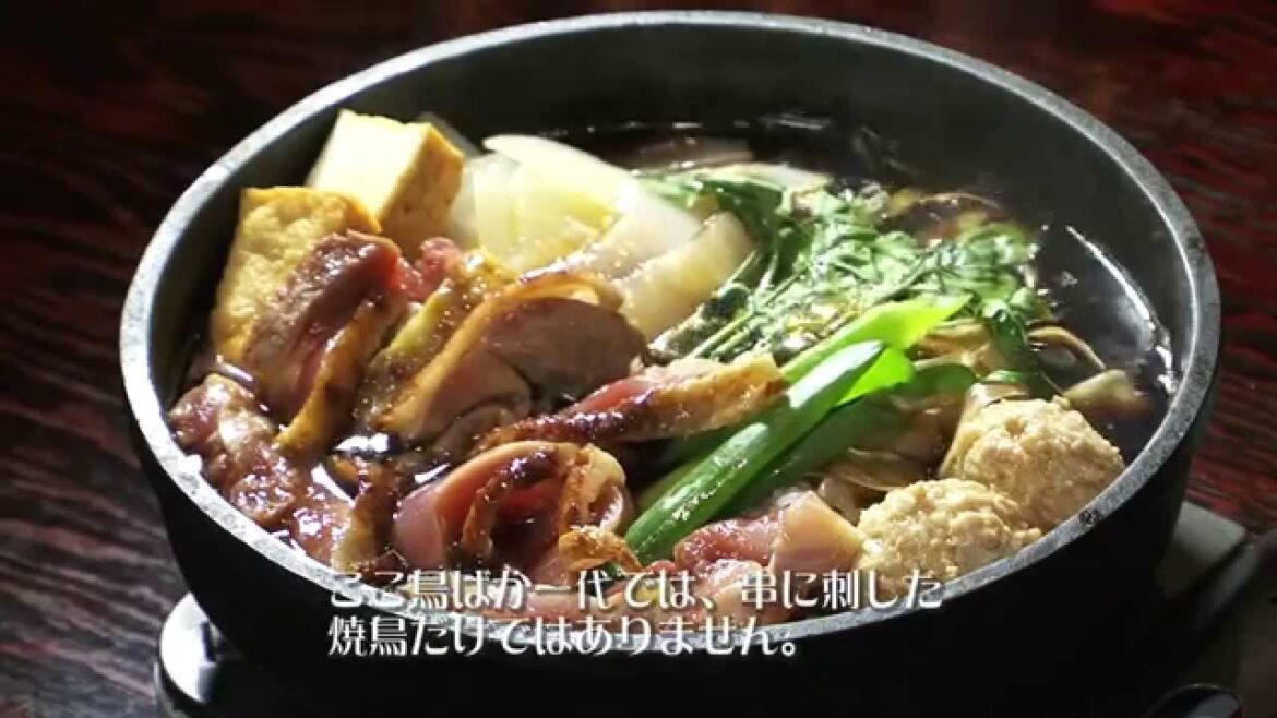 Tori-baka Ichidai 鳥ばか一代 / Ginza, Tokyo / Yakitori,Specialty Chicken