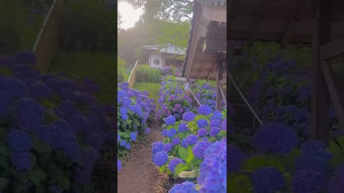 HOW BEAUTIFUL IS JAPAN  #shorts