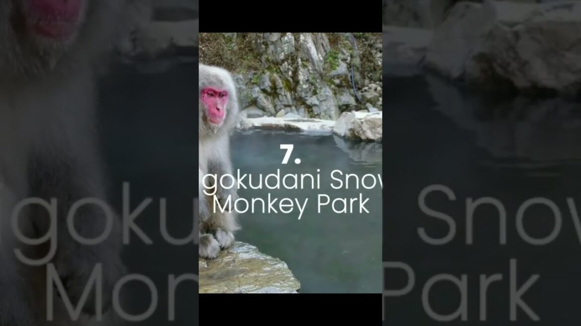 Top 10 place to visit în Japan😍❤️ #travel #travelvlog #viralvideo #japan #japantravel #japanvlog