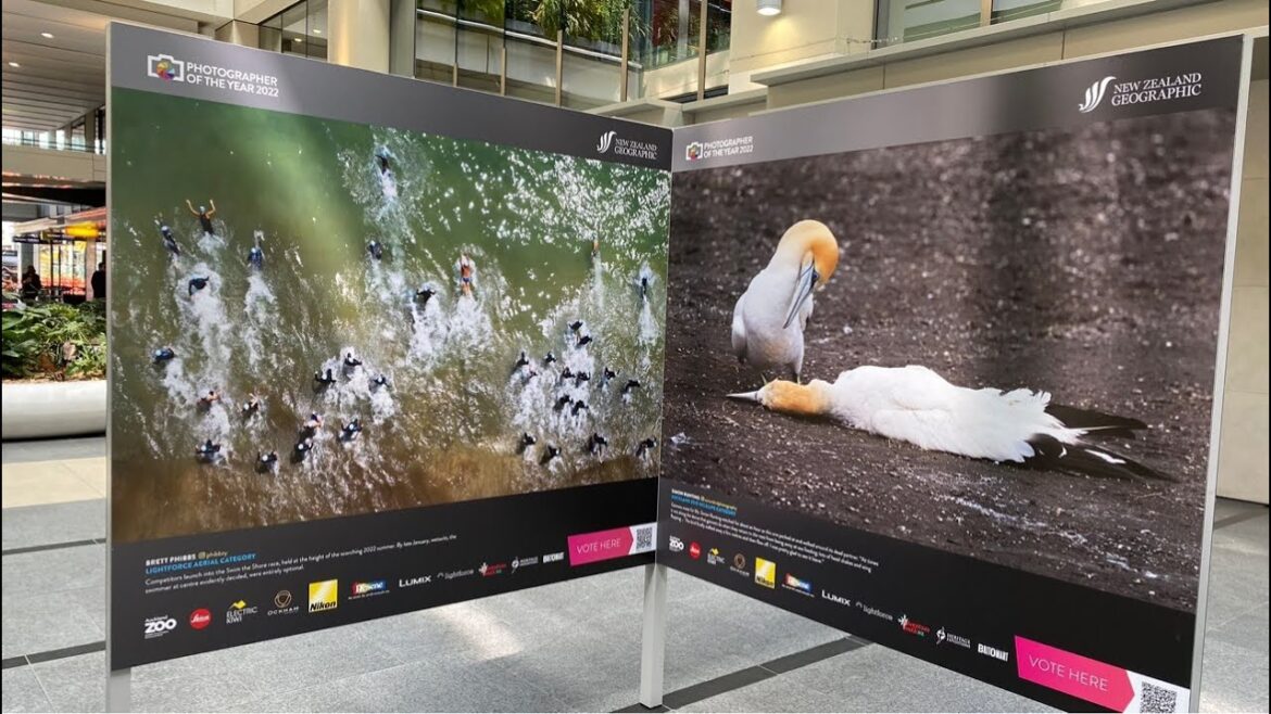 New Zealand Photographer of the Year 2022🇳🇿 New Zealand Photographer of the Year 2022🇳🇿