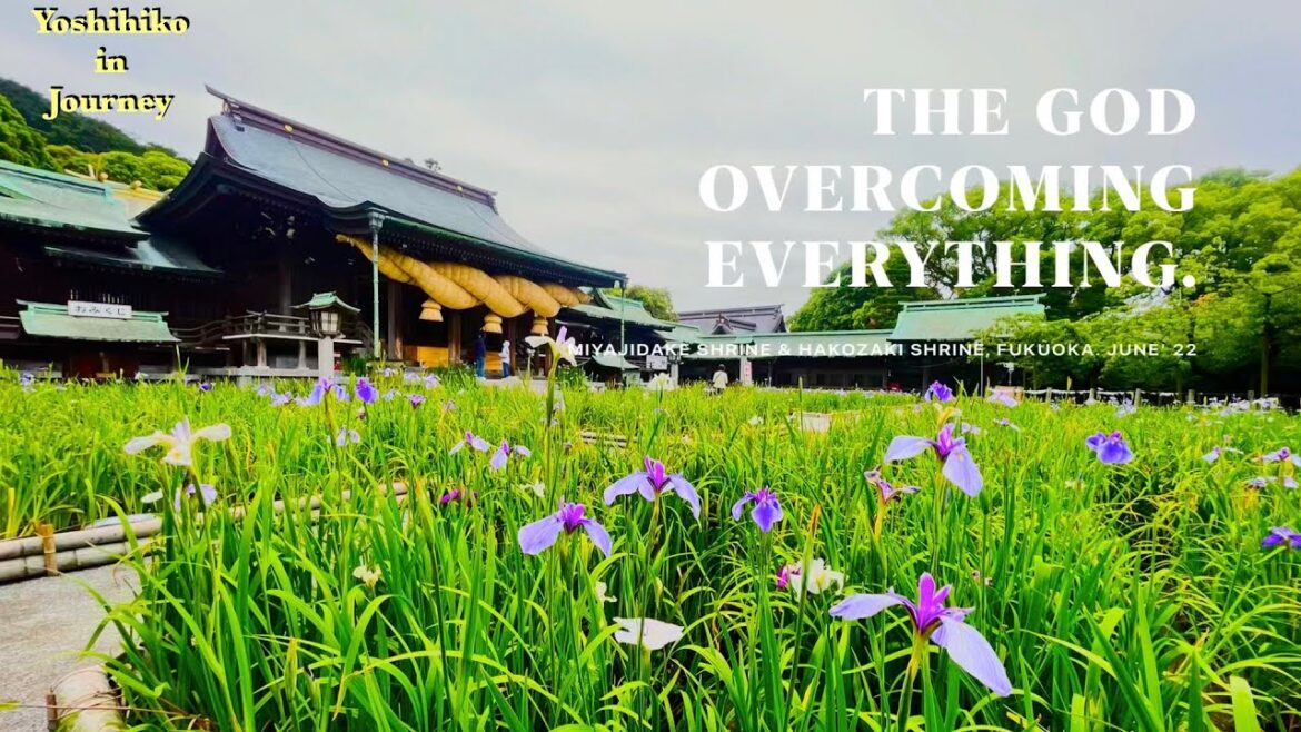 [Day3]The God Overcoming Everything  /Miyajidake Shrine & Hakozaki Shrine, Fukuoka  June' 22