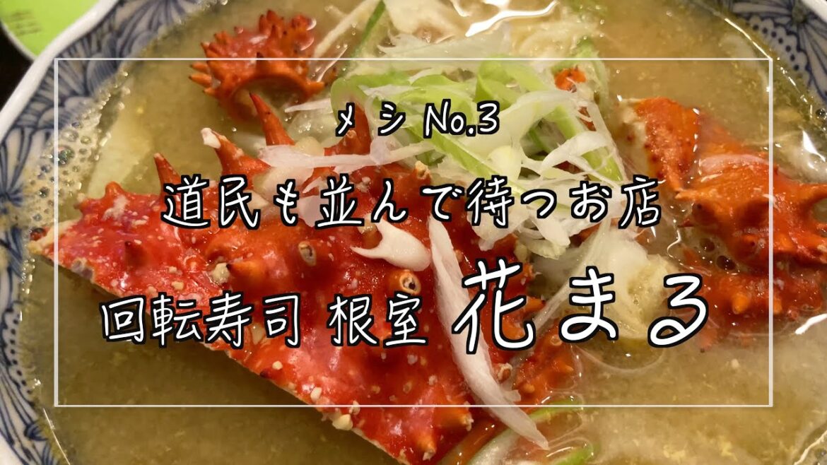 【札幌人気回転寿司】根室 花まる/道民も並んで食べる/札幌グルメ/北海道グルメ/海鮮/札幌の寿司【地元民も通う】 【札幌人気回転寿司】根室 花まる/道民も並んで食べる/札幌グルメ/北海道グルメ/海鮮/札幌の寿司【地元民も通う】