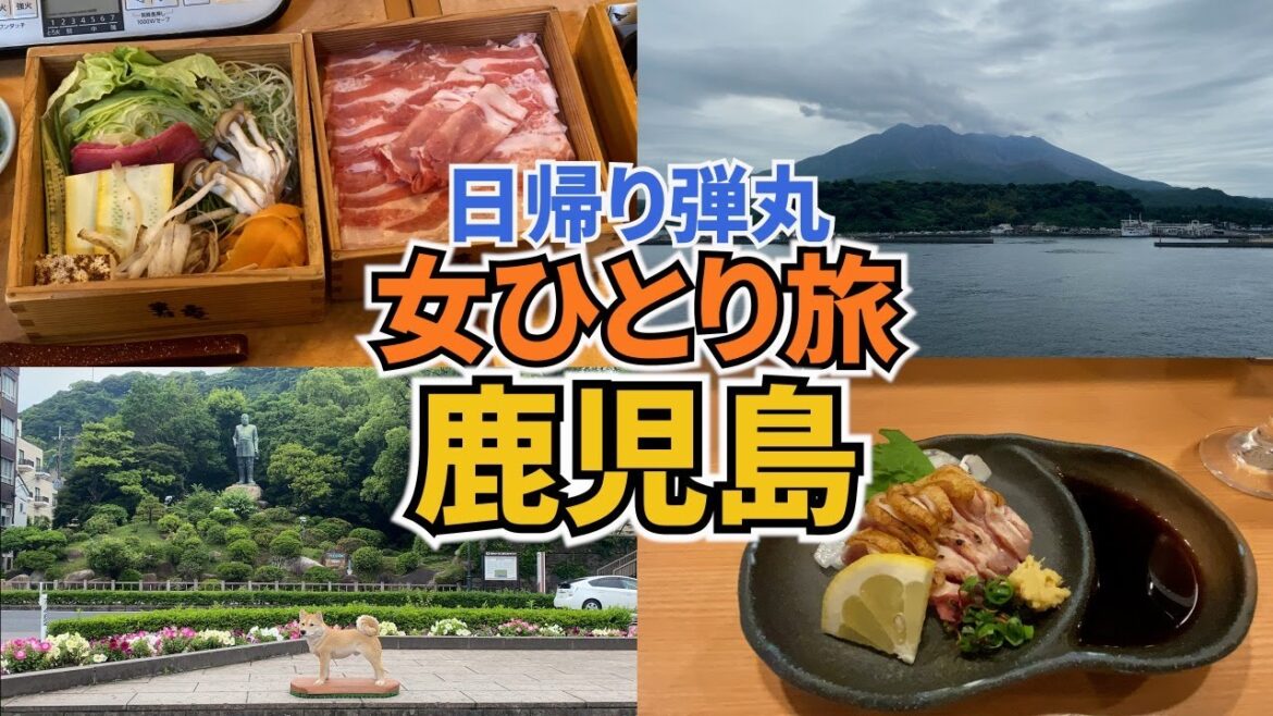 【日帰り鹿児島ひとり旅Vlog】JGC修行も兼ねて日帰りで鹿児島を弾丸ひとり旅／黒豚を堪能！／桜島で足湯に癒される♪／JGC修行vlog#6
