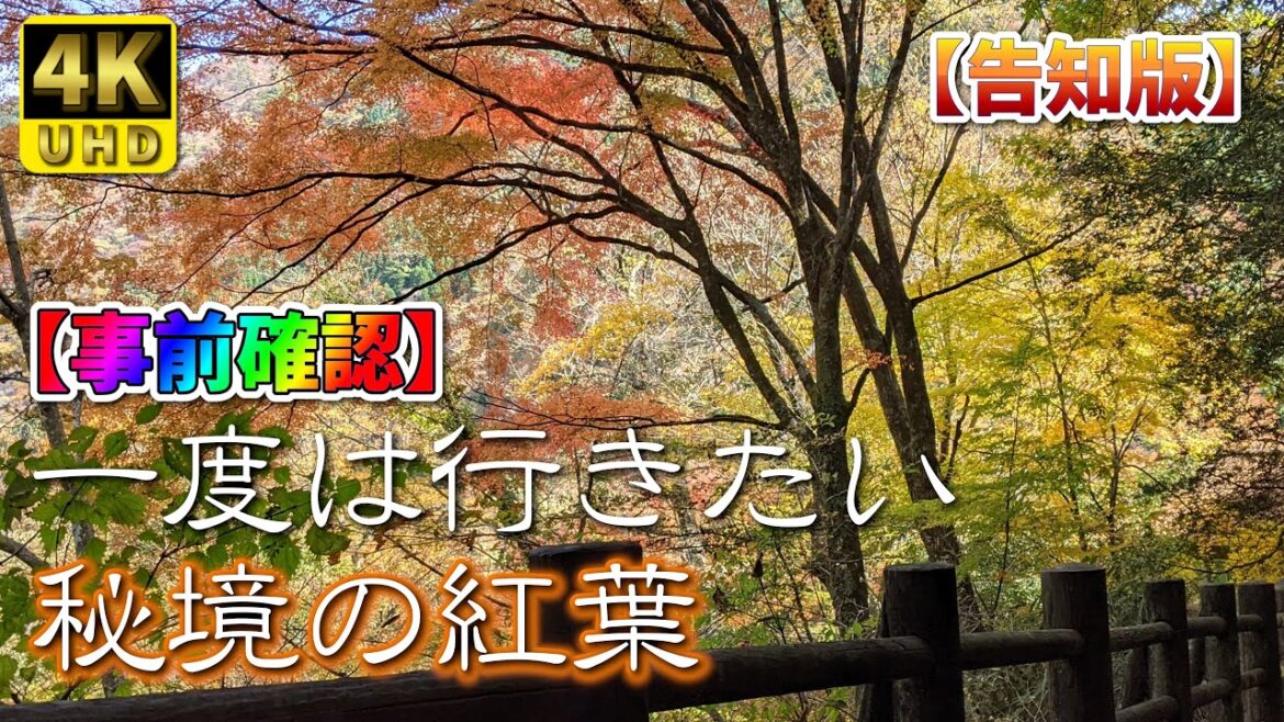 【熊本】紅葉シーズン到来　編　（ Vol.172.1 ）／一度は行きたい、秘境の紅葉【4K空撮】
