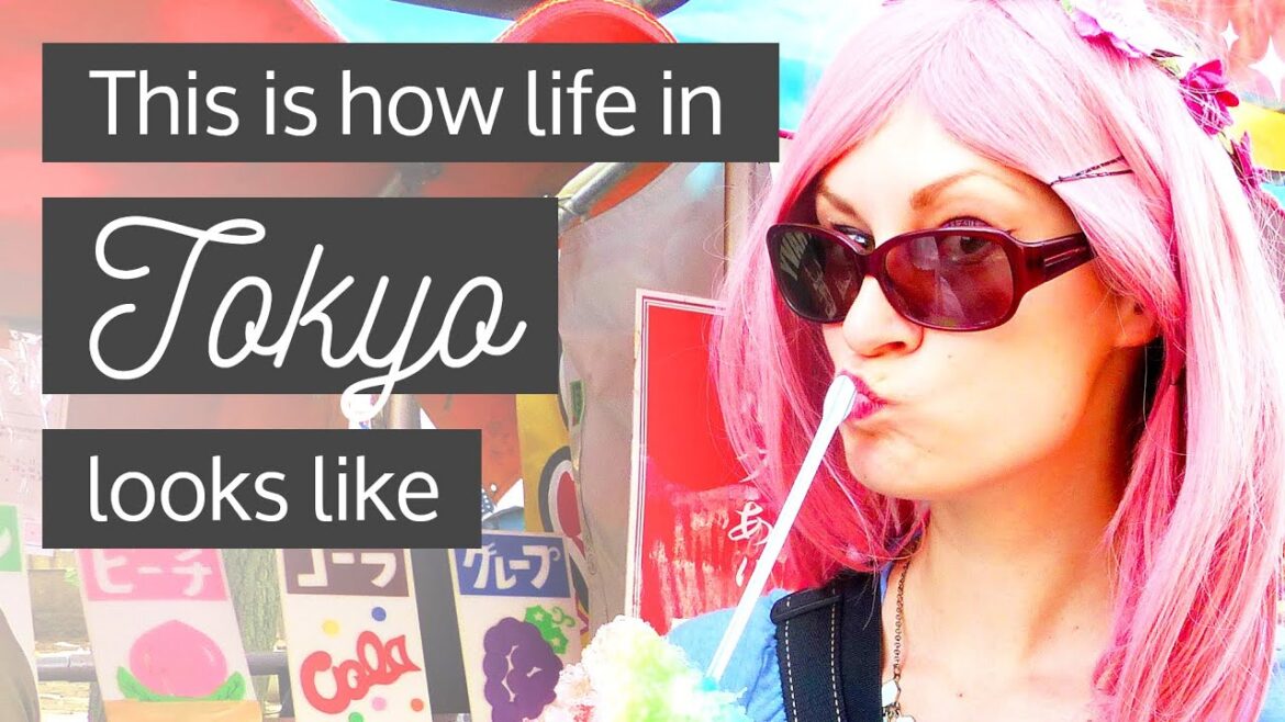This is what travelling Tokyo is like | Travel on the Brain