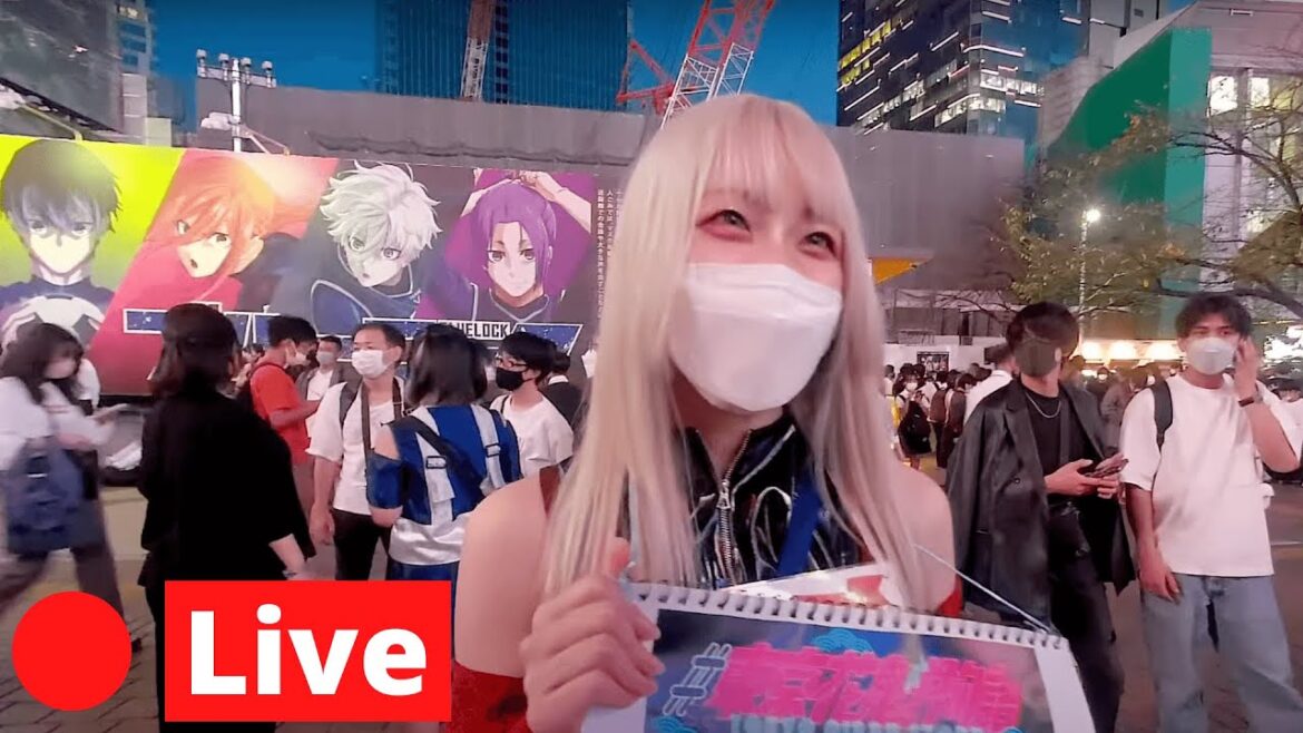 Tokyo LIVE Exploring Sunday Afternoon Tokyo LIVE Exploring Sunday Afternoon