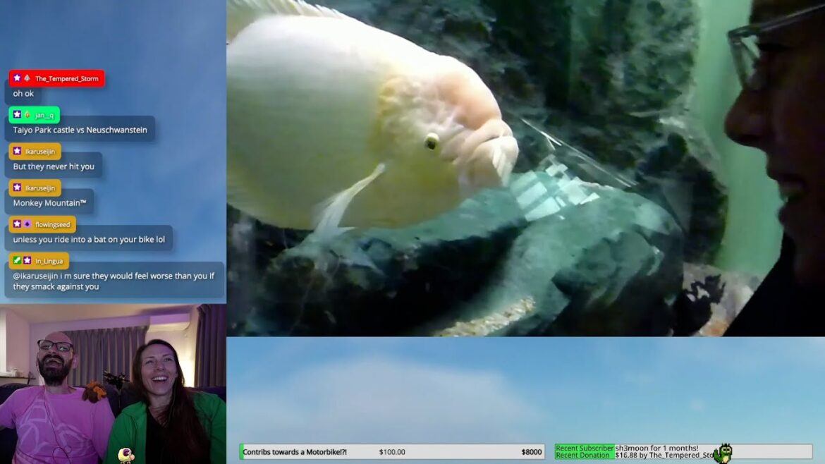 Us Watching Us | Ep.10:  Phetchaburi & Prachuap Khiri Khan, Thailand