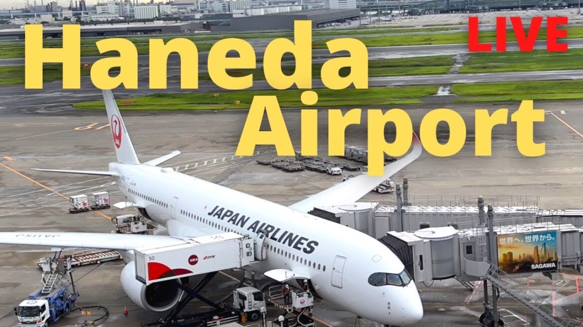 Haneda Airport Japan Opening for Travelers! (Oct. 11) Live Terminal 1-2, 3 Haneda Airport Japan Opening for Travelers! (Oct. 11) Live Terminal 1-2, 3