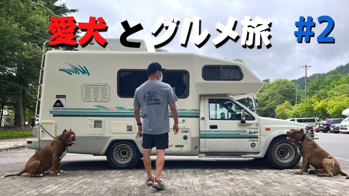 【犬連れ車中泊旅】グルメ旅#2 山奥のお蕎麦屋さん!絶品ジェラートに炭火焼きとうもろこし!空腹の方はご注意下さい…笑 【犬連れ車中泊旅】グルメ旅#2 山奥のお蕎麦屋さん!絶品ジェラートに炭火焼きとうもろこし!空腹の方はご注意下さい…笑