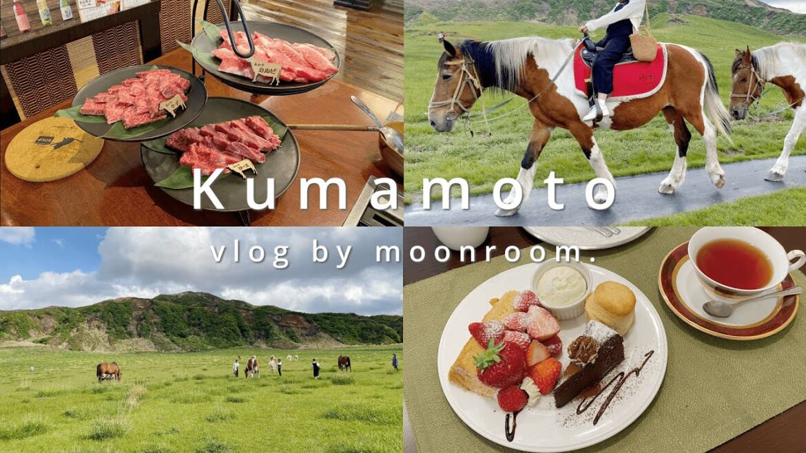 〔vlog〕熊本旅行 / 阿蘇の大自然を堪能🌿 / 乗馬体験🐴 / 熊本サウナ /  Kumamoto