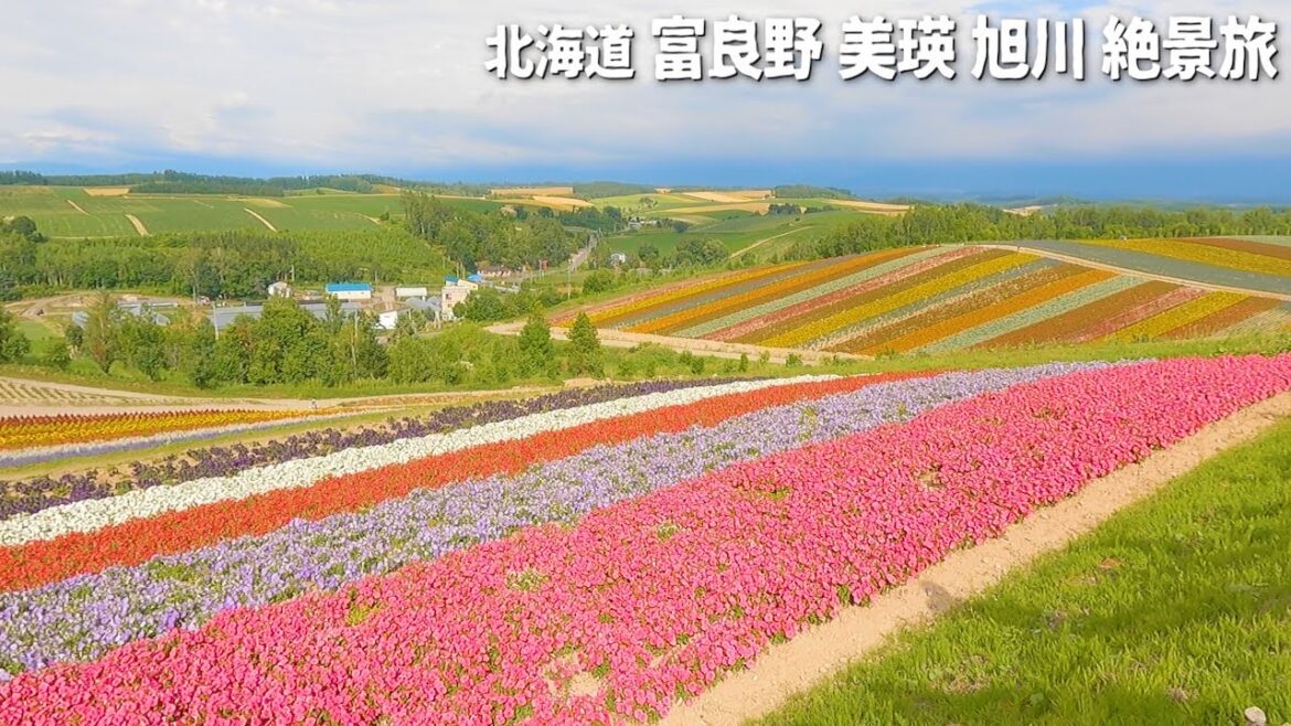 【富良野の夏】北海道 富良野 美瑛 旭川絶景旅【ラベンダー・メロンづくし・ファーム富田・四季彩の丘・7月・夏休み・vlog】vol.5