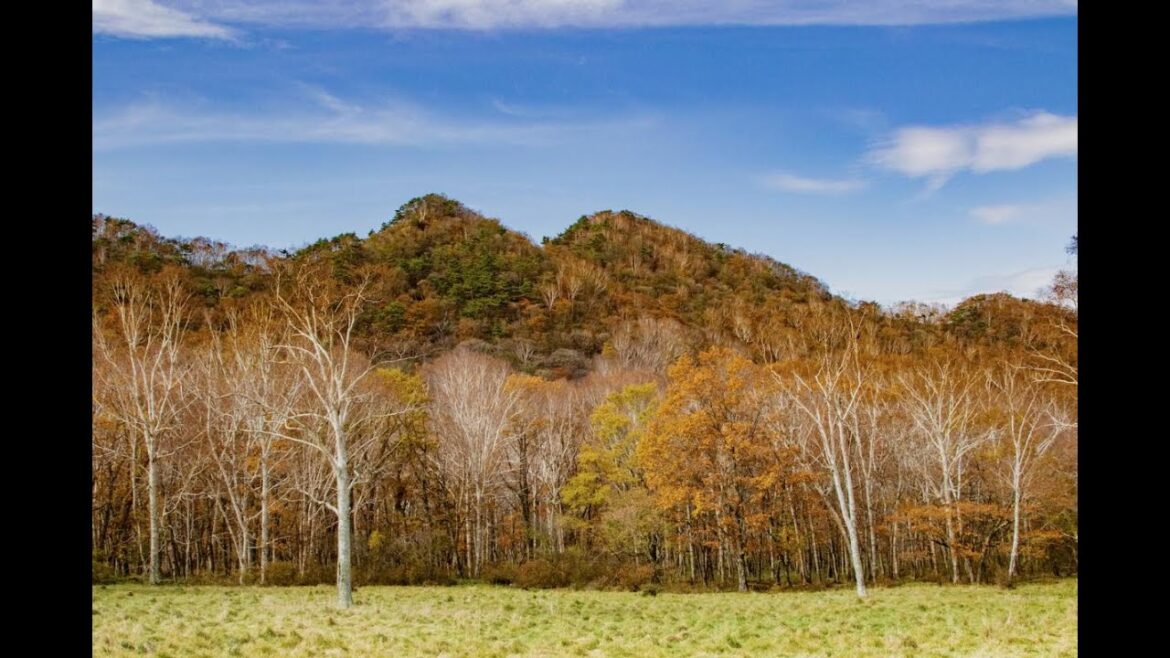 "Shirakaba-Lake 1/4" Route40th Snowshed to Shirakaba Kogen Hotel 「白樺湖1/4」県道40号スノーシェッドから 池の平 白樺高原ホテル