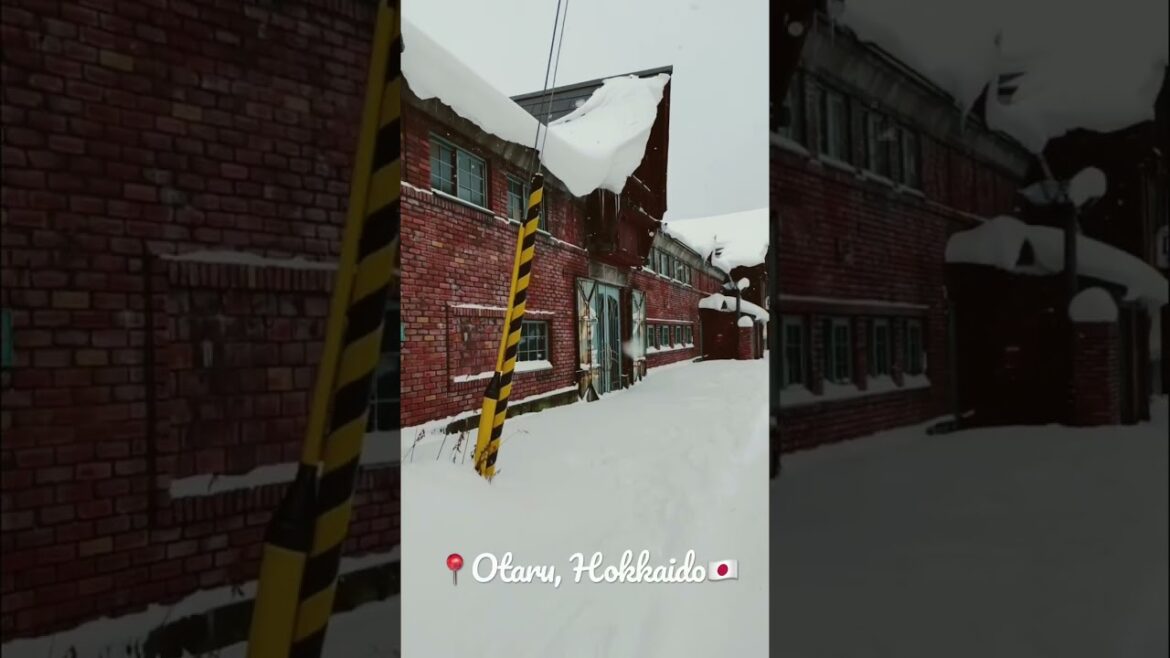 Isn’t this so beautiful? | Hokkaido🇯🇵 #ytshorts #shortvideo #japan #winter