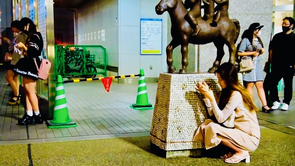 【新大久保】Tokyo Night Walk – Shin-Okubo to Shinjuku (▶ 53 min) | 4K 新宿 東京散歩 September, 2022 【新大久保】Tokyo Night Walk - Shin-Okubo to Shinjuku (▶ 53 min) | 4K 新宿 東京散歩 September, 2022