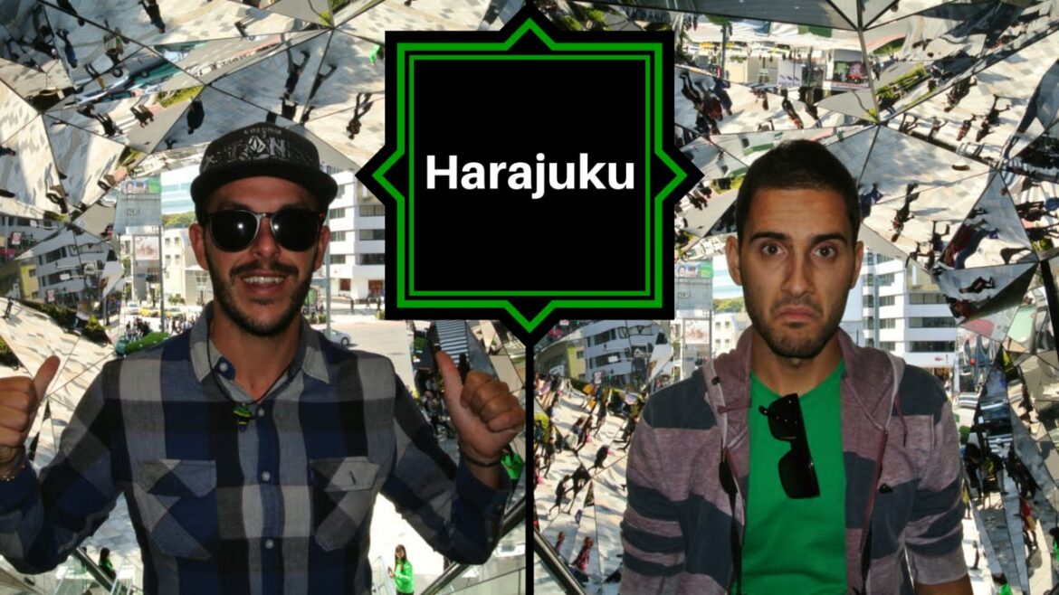 Japan Trip [Ep.3]  Delusione a Yoyogi Koen e via per Harajuku