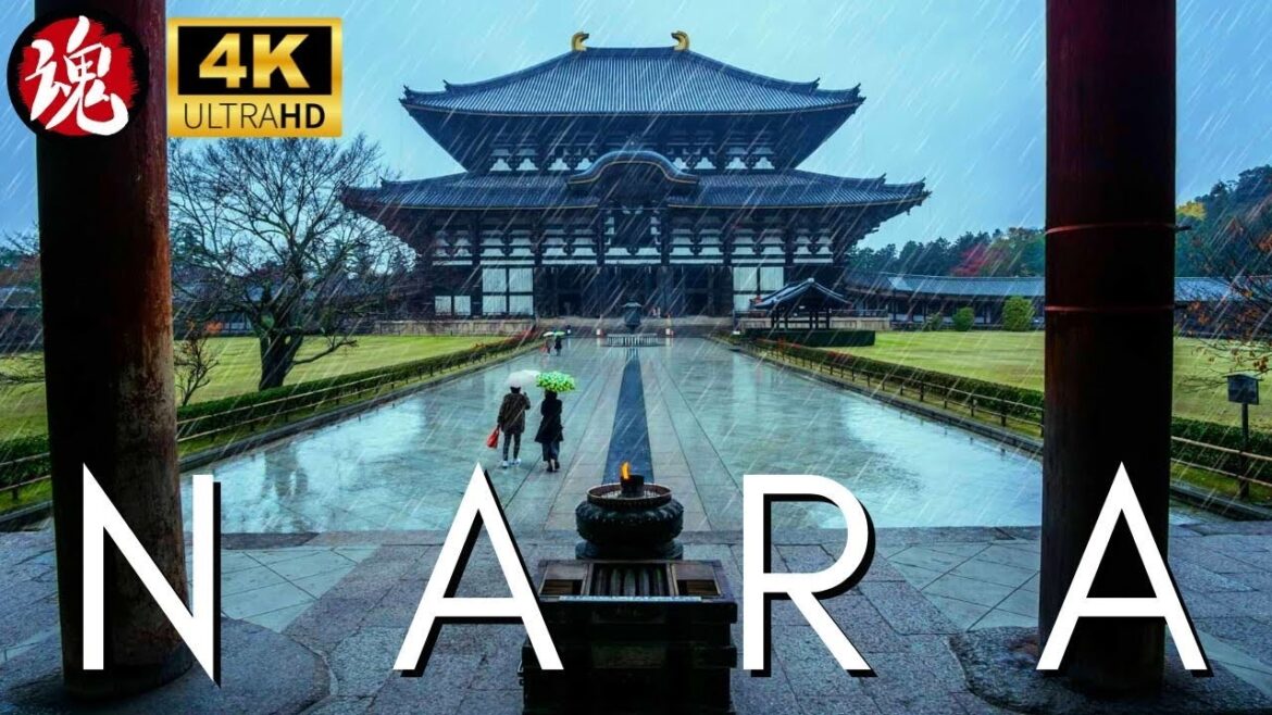 Typhoon Walk In Japan | Todaiji Temple Nara Typhoon Walk In Japan | Todaiji Temple Nara