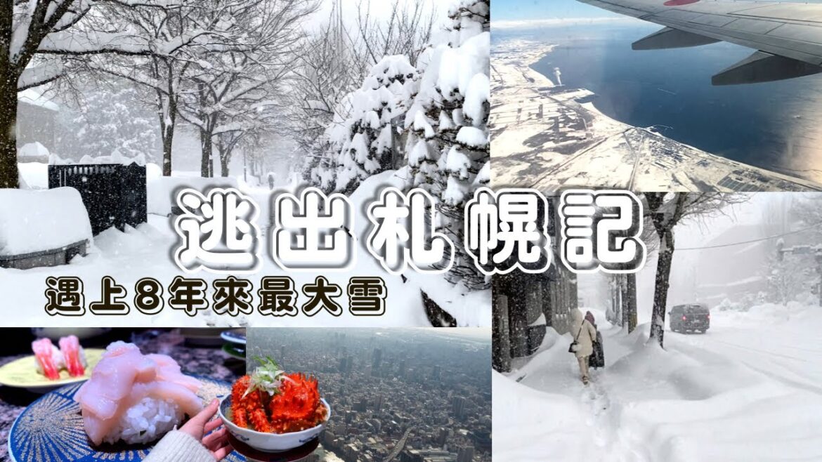 【遇上札幌8年來最大雪】受困北海道🥶⋯飛機順利起飛！？必吃花丸壽司🍣北海道冬旅part④