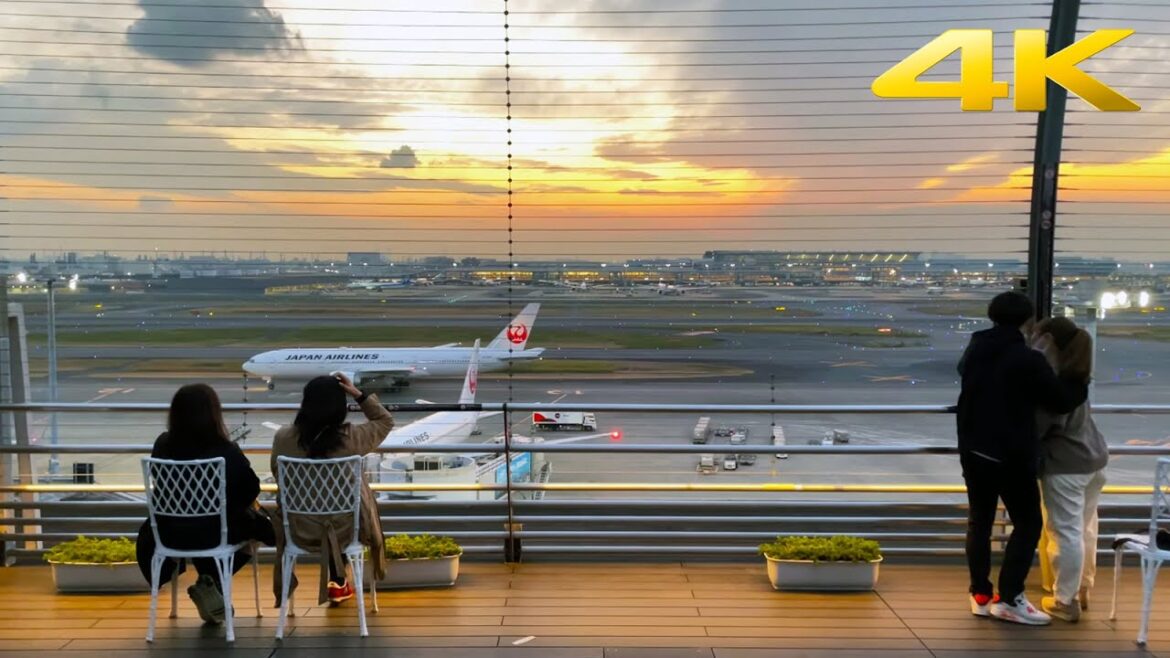 🇯🇵 Haneda International Airport: Terminal 1 – Walking Tour – Fall 2021 【4K-60fps】 🇯🇵 Haneda International Airport: Terminal 1 - Walking Tour - Fall 2021 【4K-60fps】