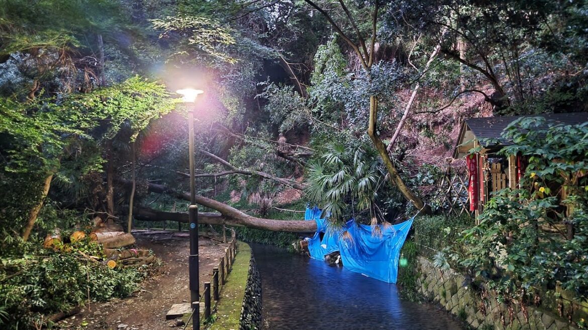 Live Tokyo Walk - Back in Japan but Todoroki Ravine was Broken 💔