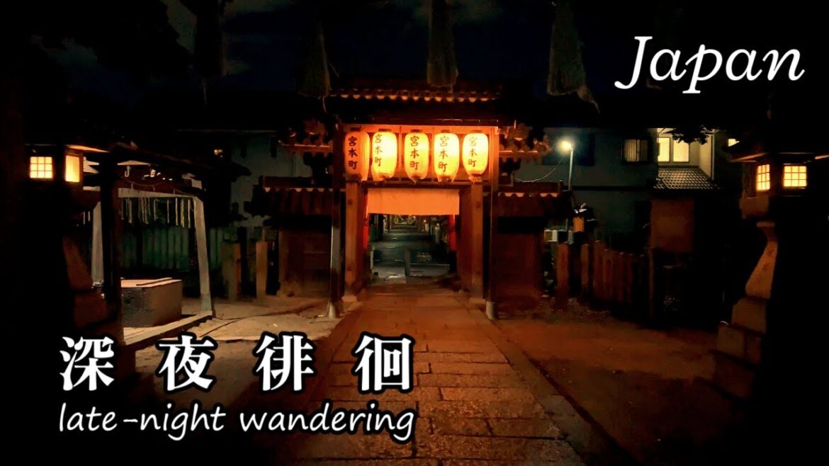 Walking Japan | Midnight walk in the back alleys of Osaka Walking Japan | Midnight walk in the back alleys of Osaka