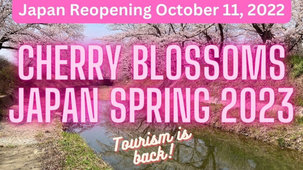 Japan Cherry Blossoms – Spring 2023 – Japan reopens for tourism! Japan Cherry Blossoms - Spring 2023 - Japan reopens for tourism!