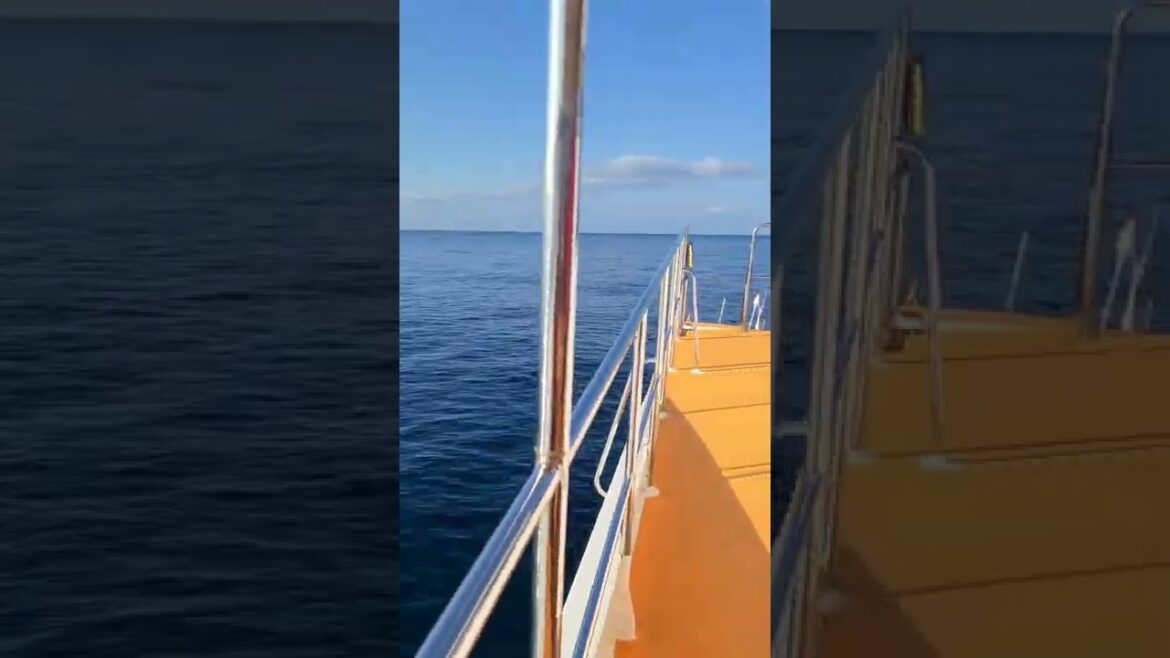 沖縄の海へ part3 #shorts