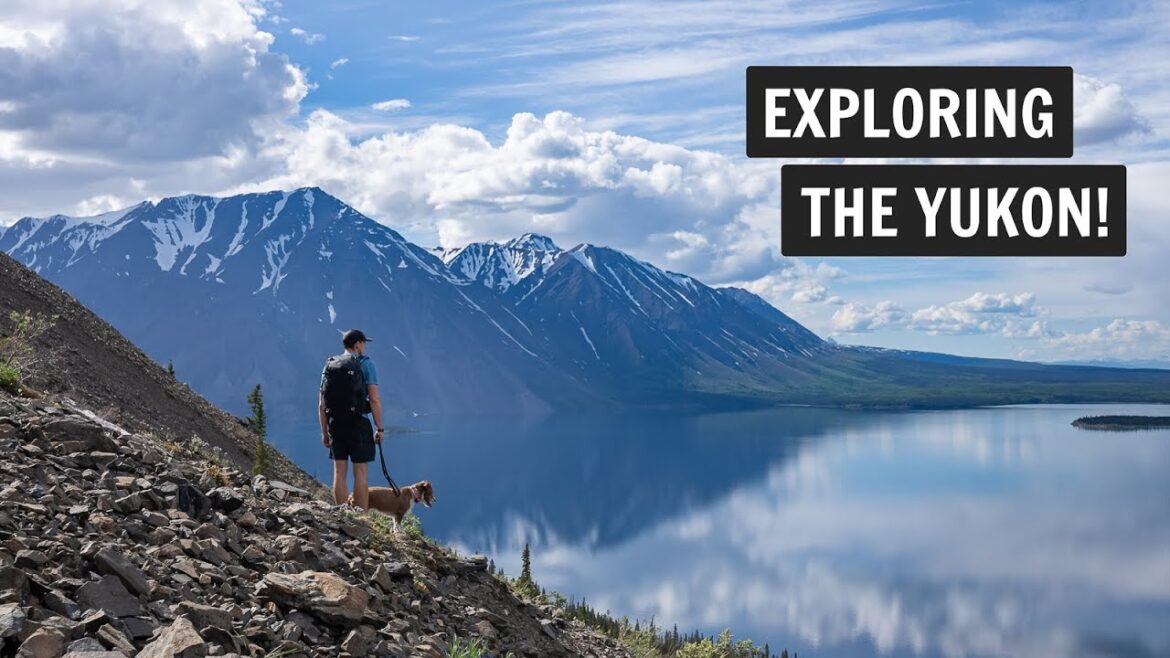 Our EPIC drive through the YUKON on the Alaska Highway! (Whitehorse, Kluane National Park, & MORE!)