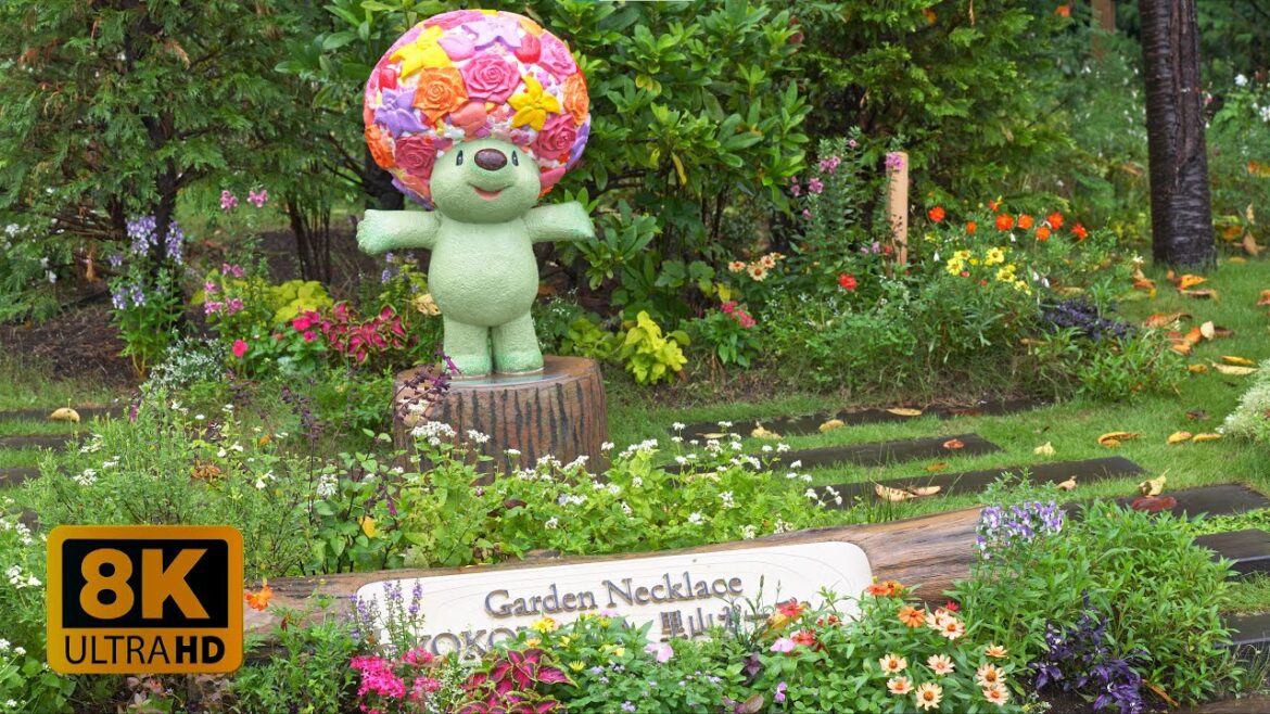 4K 8K 【里山ガーデン】Autumn Flowers in Satoyama Garden, Yokohama, Kanagawa 2022 4K 8K 【里山ガーデン】Autumn Flowers in Satoyama Garden, Yokohama, Kanagawa 2022