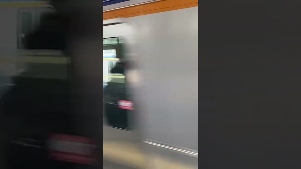 Train for Trip in Japan.