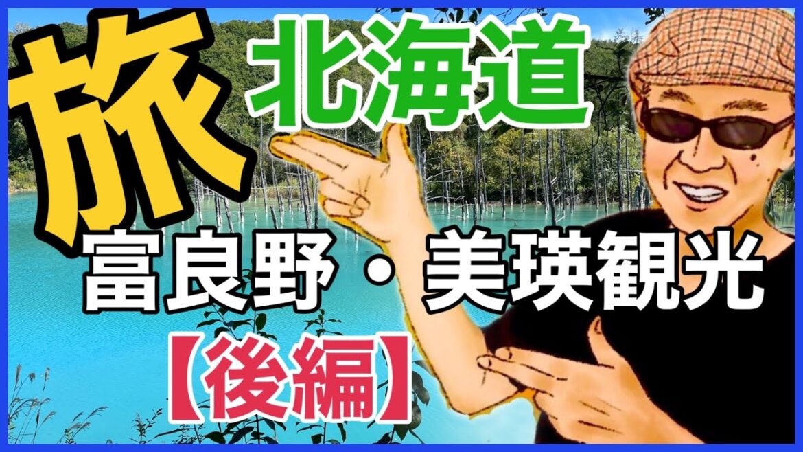 【2022最新】ガチで観光!富良野・美瑛【後編】/札幌から日帰りドライブ /美瑛町白金青い池/道の駅びえい・白金ビルケ/富良野チーズ工房/ニングルテラス/北の国から/森の時計/優しい時間 【2022最新】ガチで観光!富良野・美瑛【後編】/札幌から日帰りドライブ /美瑛町白金青い池/道の駅びえい・白金ビルケ/富良野チーズ工房/ニングルテラス/北の国から/森の時計/優しい時間